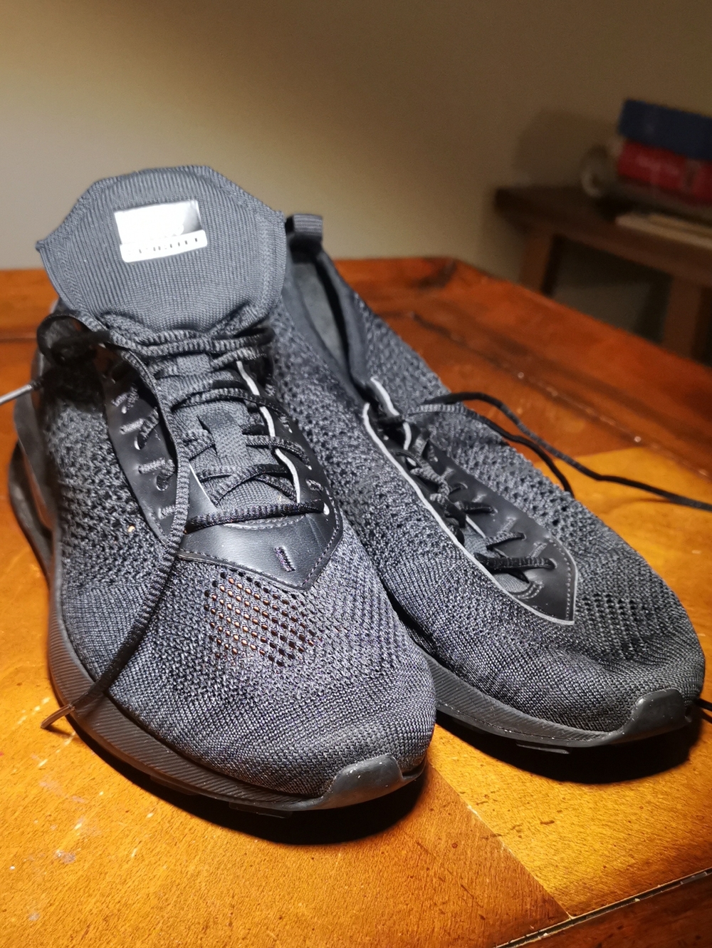 Nike Flyknit Running Shoes Black